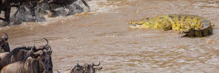 Lake Manyara - Serengeti National Park