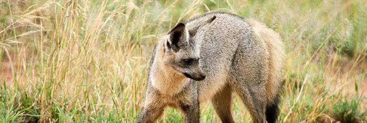 Tarangire National Park