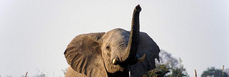 Tarangire National Park