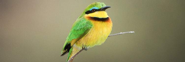 Tarangire National Park