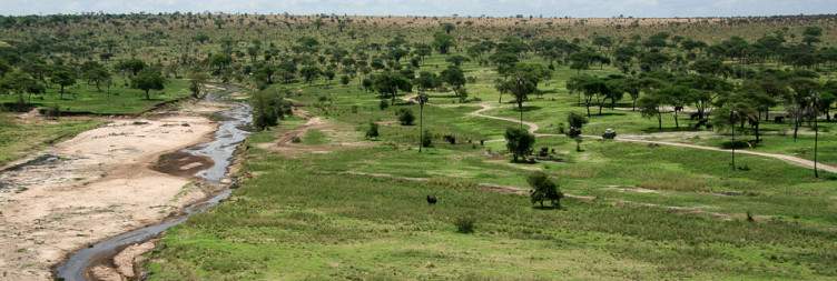 Arusha - Tarangire National Park