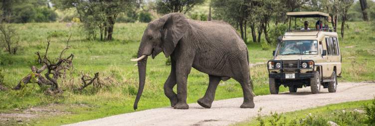 Arusha/Jro Airport – Tarangire