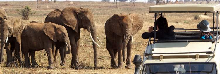 Tarangire National Park