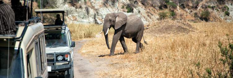Zanzibar-Arusha Airport-Tarangire National Park