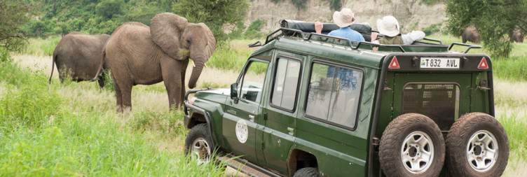 Ngorongoro – Tarangire National Park