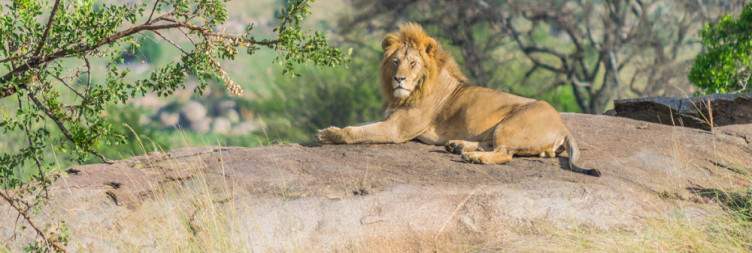 Arusha - Tarangire National Park