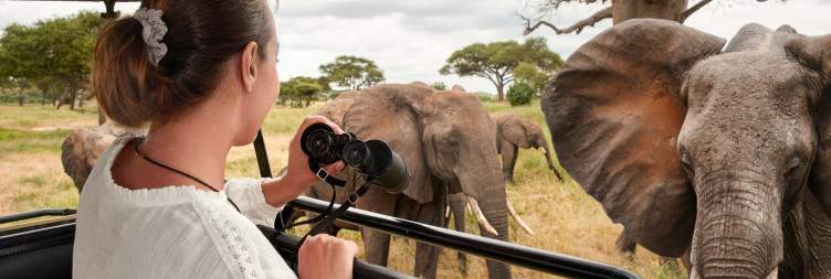 Zanzibar – Tarangire National Park – Stay at Escarpment Luxury Lodge