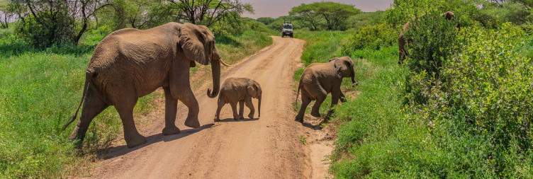 Tarangire National Park