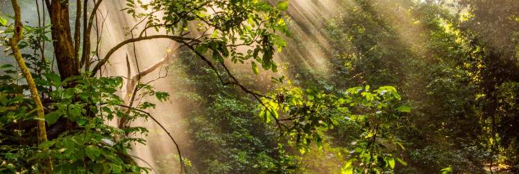 Full-Day Mikumi & Transfer to Udzungwa Mountains National Park