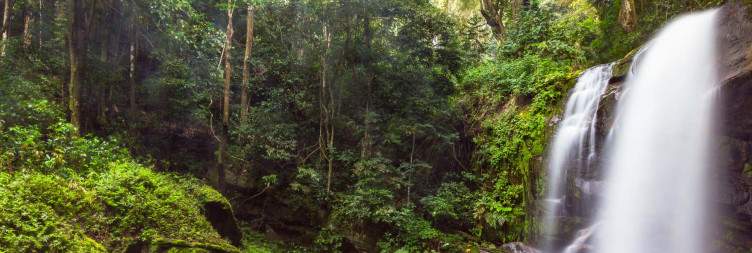 Udzungwa Mountains National Park