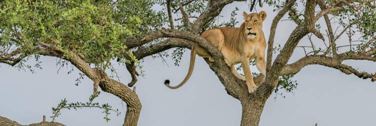 Serengeti National Park