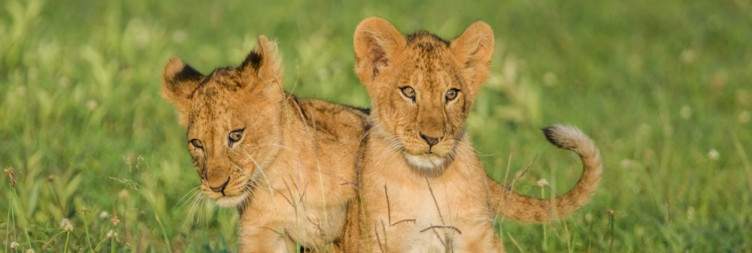 Western Serengeti National Park