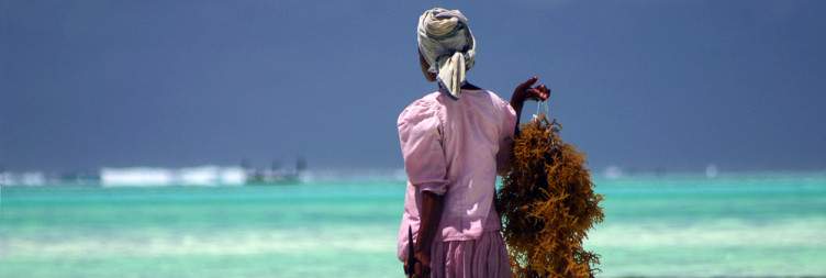 Zanzibar Island Stone Town Tour