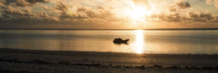 Zanzibar Island