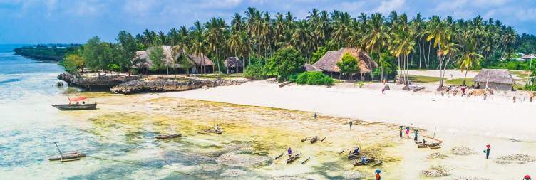 Ngorongoro to Arusha – Flight to Zanzibar
