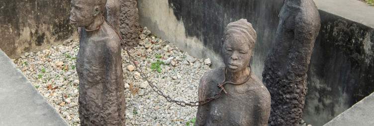 Ruaha Game Drive then Zanzibar