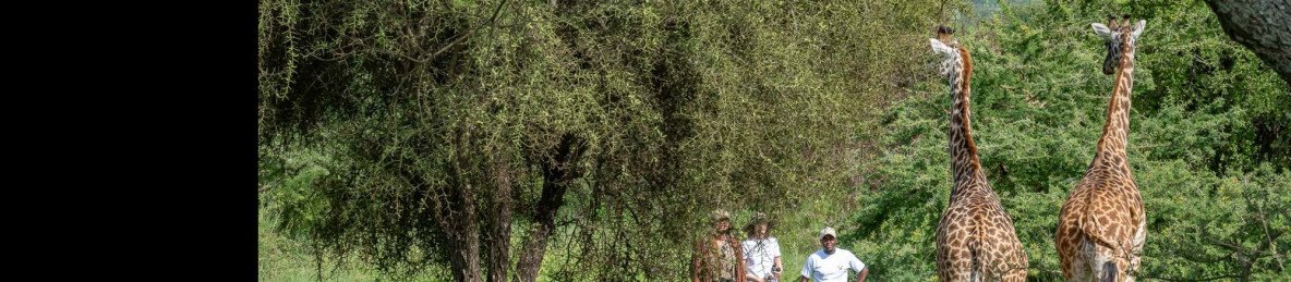 2-Day Ultimate Safari Experience