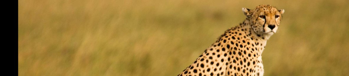 4-Day Tarangire Serengeti Ngorongoro Affordable Private