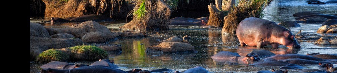 6-Day Serengeti, Ngorongoro, Tarangire & Manyara Private