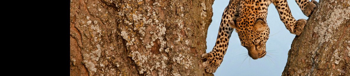 7-Day Serengeti & Classic Crater Discovery