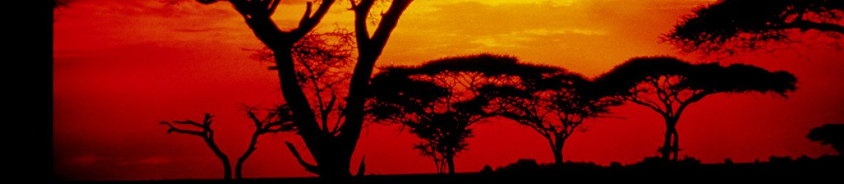 3-Day Safari Taster Serengeti and Ngorongoro