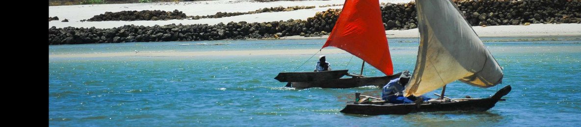 8-Day Tanzania Safari and Zanzibar Vacation Tour