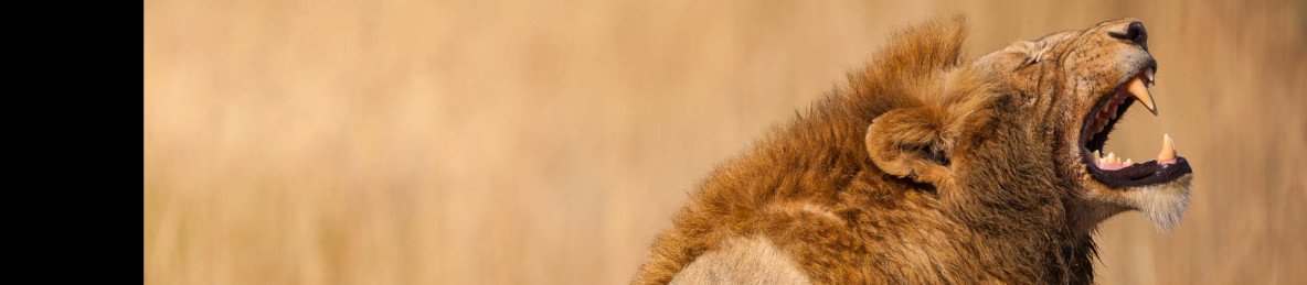 4-Day Mikumi NP, Udzungwa Waterfalls & Maasai by Jeep