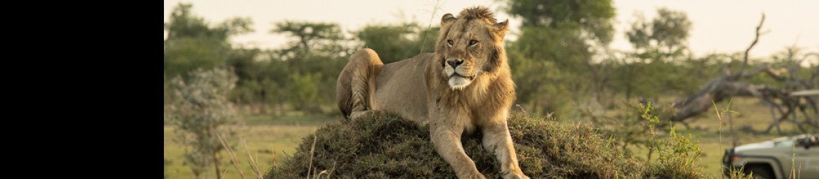 7-Day Northern Circuit Tanzania Adventure