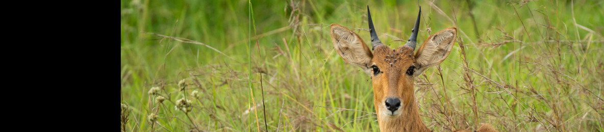 3-Day Best Materun Waterfalls, Tarangire & Ngorongoro NP