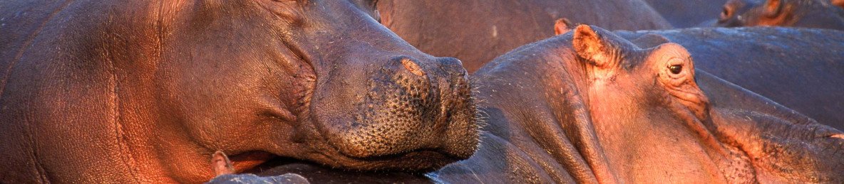 5-Day Group Tour Manyara Serengeti Ngorongoro Tarangire
