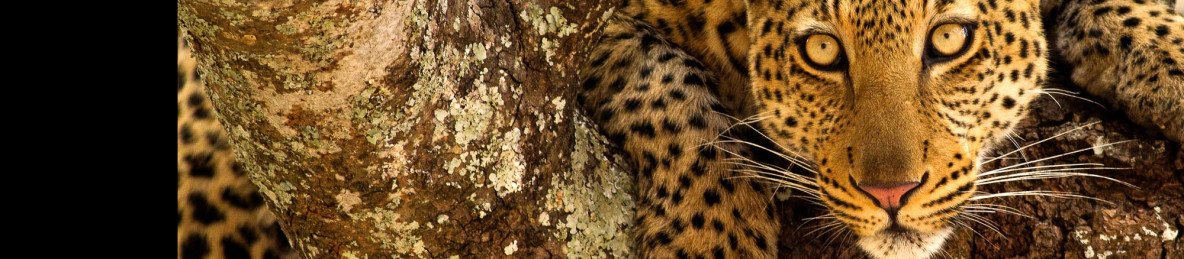 3-Day Best Mikumi National Park - Adventures Safari