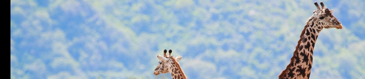 8-Day Top Safari & Beach Combination Package