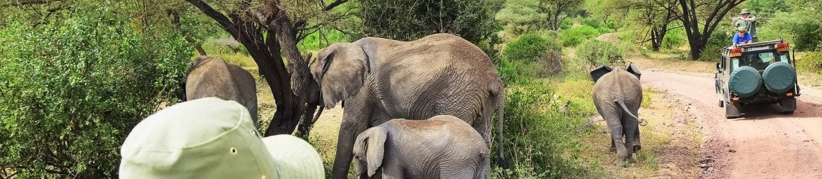 2-Day Luxury from Zanzibar to Tarangire & Ngorongoro