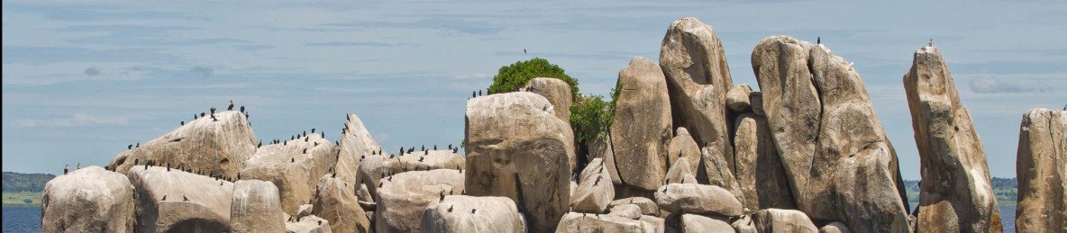 1-Day Serengeti National Park
