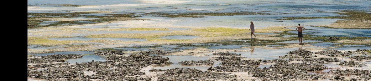 3-Day Tarangire, Manyara & Ngorongoro from Zanzibar