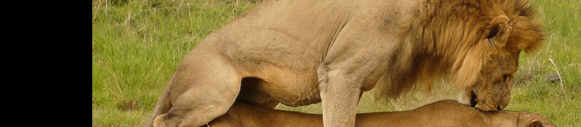 3-Day Tanzania Trilogy, Wildlife, Wonders & Waterfalls