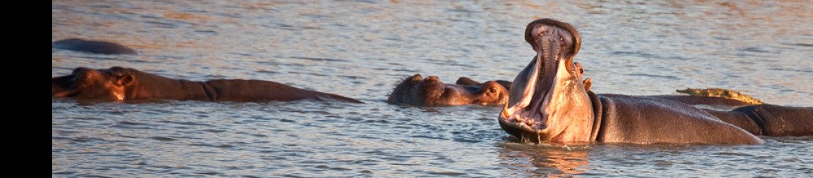 3-Day Wildlife Adventure Mikumi National Park