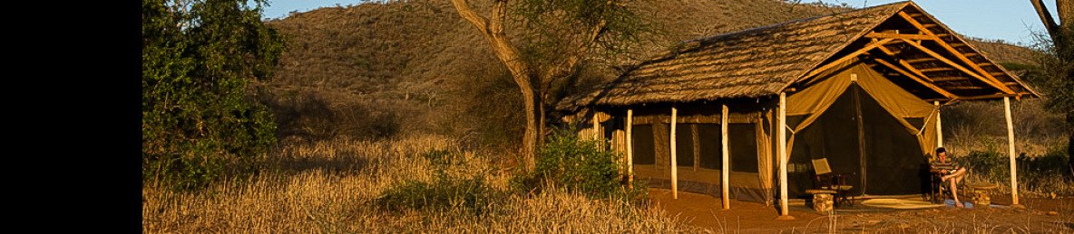 1-Day Mkomazi National Park Day Tour from Moshi