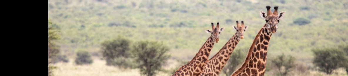 8-Day Safari and Beach Express