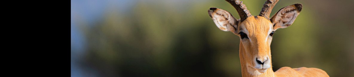 7-Day Tanzania Safari and Materuni Waterfalls