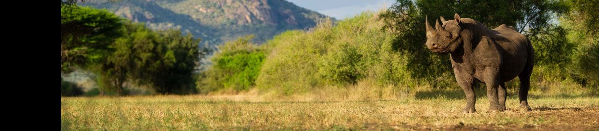 8-Day Big Five Safari, Kilimanjaro & Coffee Tour