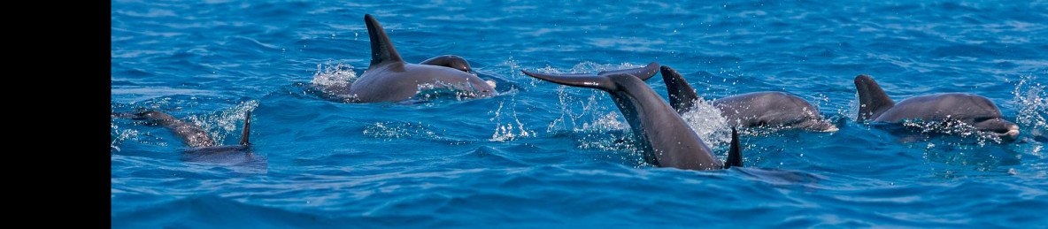 9-Day Comfort Wildlife and Zanzibar Beach Holidays