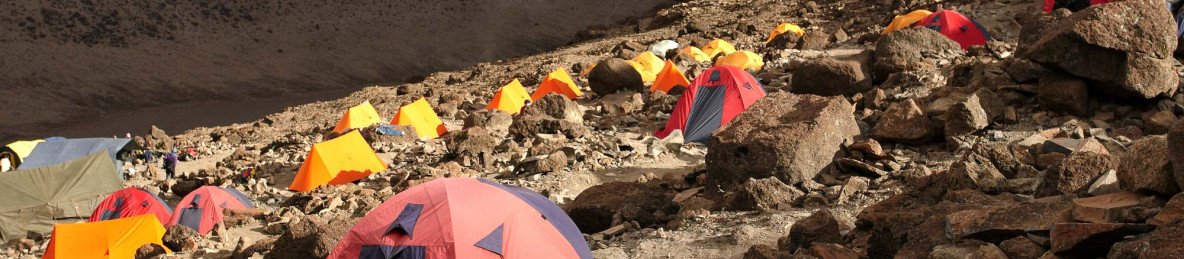 7-Day Kilimanjaro Trekking and Big Five Safari Adventure