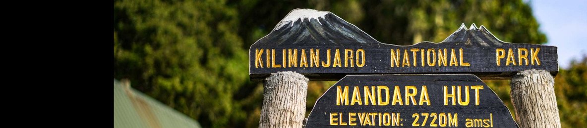 1-Day Kilimajaro Experince Hike the Marangu Route