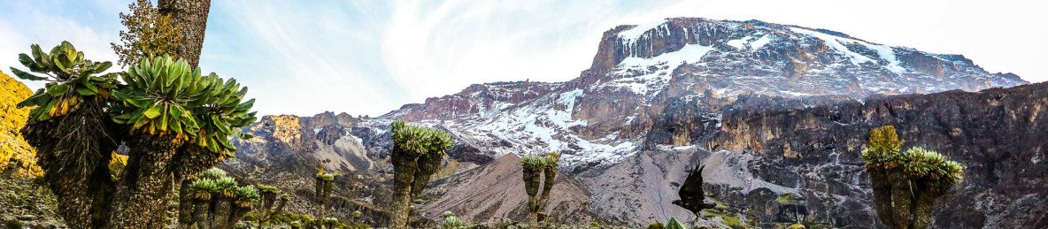 7-Day Rongai - Kilimanjaro Climbing