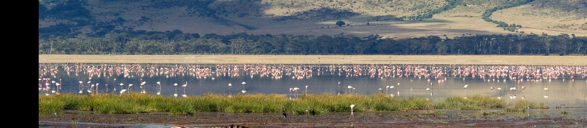 7-Day Epic Budget Wildlife Safari from Dar Es Salaam