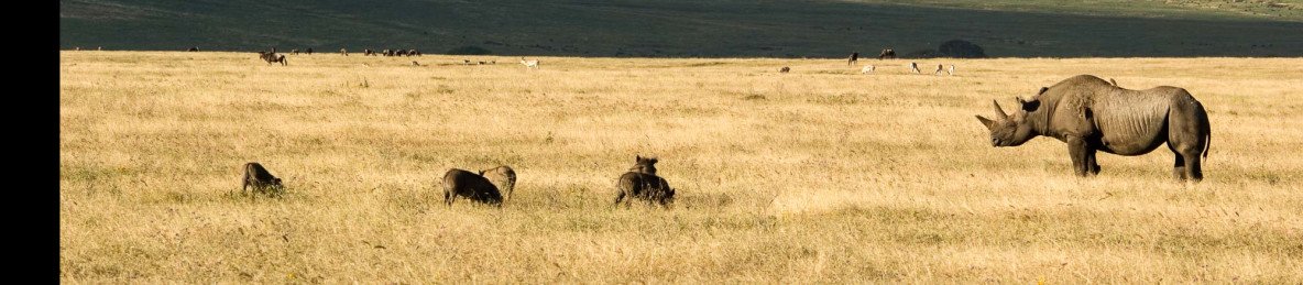 9-Day Exclusive Tanzania Safari Starting from Masai Mara
