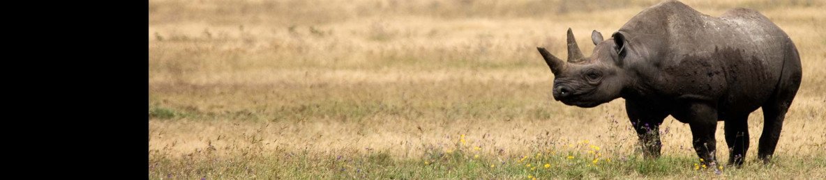 4-Day Arusha-NP and Mkomazi NP (Rhino-Sanctuary)