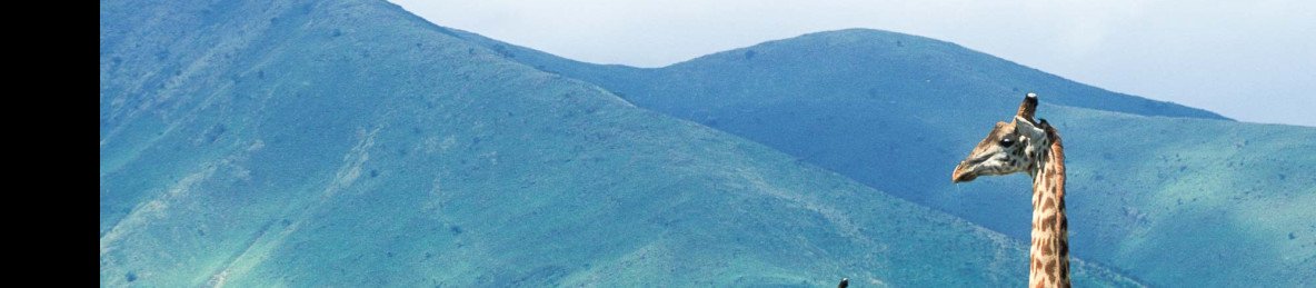 7-Day Multidimensional Tanzania Safari