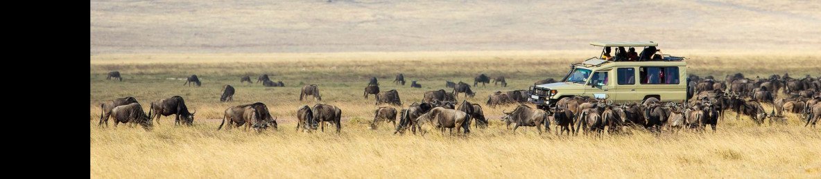 2-Day Fly in Safari Tarangire & Ngorongoro from Dar